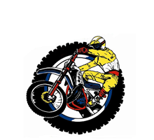 MSV schijndel logo