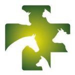 Logo Dierenartsenpraktijk de Meierij