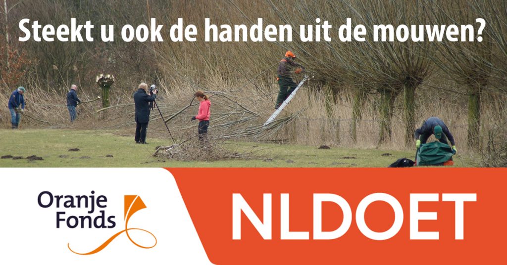 NL Doet Schijndel