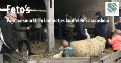 Schaapskooi-Schijndel_voorjaarsmarkt-2019