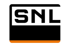 Logo SNL Group