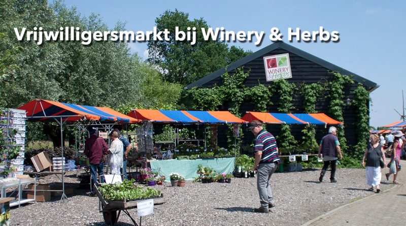 Vrijwilligersmarkt bij Winery & Herbs