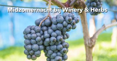 Winery-and-Herbs_midzomernacht