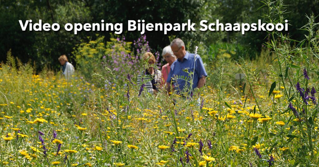 Video opening Bijenpark Schaapskooi