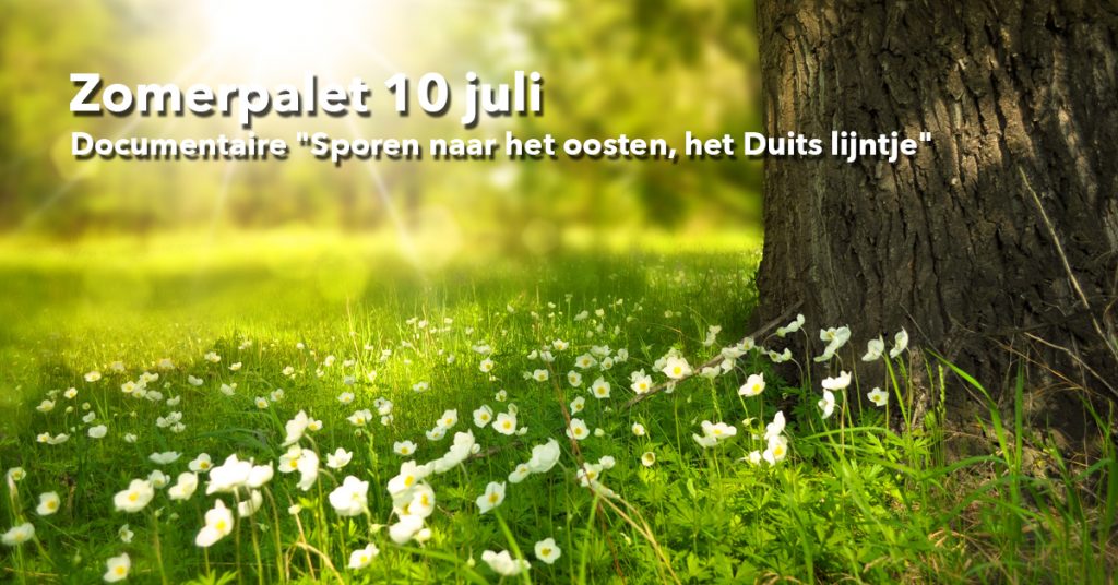 Welzijn-de-Meierij_zomerpalet-10-juli