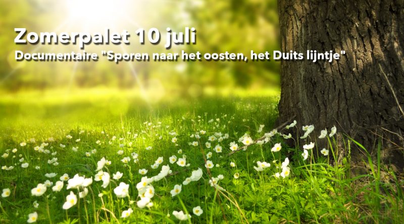 Welzijn-de-Meierij_zomerpalet-10-juli