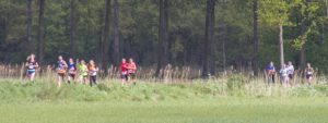 wijboschloop banner