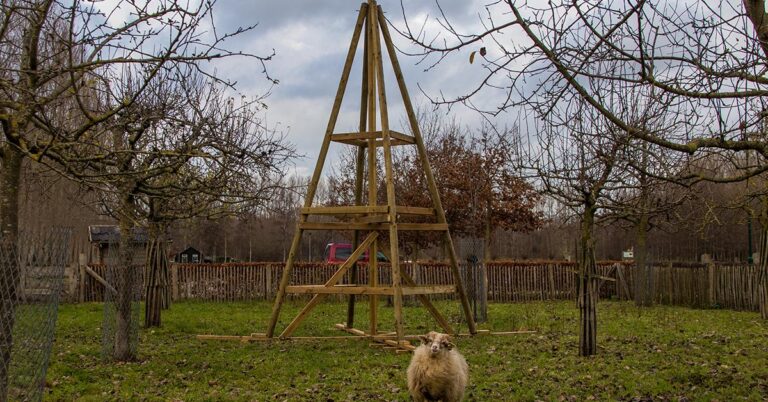 Van Swaay Duurzaam Hout en Koek bouwen de Social Tree bij de Schaapskooi