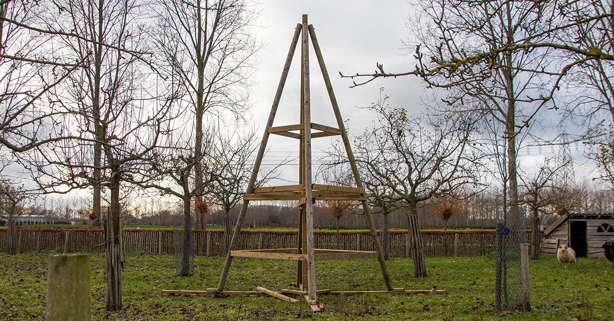 Van Swaay Duurzaam Hout en Koek bouwen de Social Tree bij de Schaapskooi